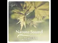 Wellness Music
