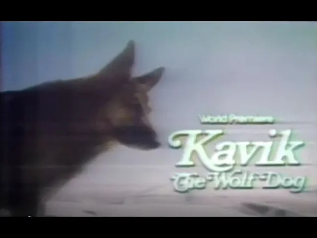 1980 NBC promo The Courage of Kavik, the Wolf Dog