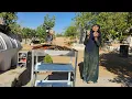 Download Lagu Abandoned grandmother and young life-maker | Making traditional kebabs in a magical cave