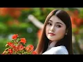 Download Lagu Chỉ Là Câu Hứa   #ChỉLàCâuHứa   #ChiLaCauHua   #chỉlàcâuhứa   #chilacauhua   #Chỉlàcâuhứa
