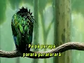 16591 - VITOR KLEY SAMUEL ROSA - A TAL CANCAO PRA LUA