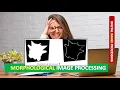 MORPHOLOGICAL IMAGE PROCESSING MORPHOLOGICAL OPERATIONS in DIP DIGITAL IMAGE PROCESSING Part 1