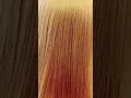Download Lagu GOLDEN BLONDE MIXED SUPER LIGHT ASH BLONDE