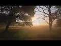 Христина Соловій - Несе Галя воду (Lyric Video)