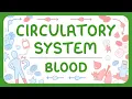 Download Lagu GCSE Biology - The Circulatory System | The Blood