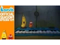 Lagu [Official] Concert - Larva Season 1 Episode 37