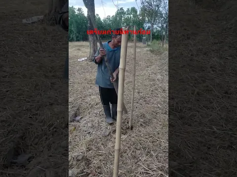 พ่อเฒ่ากับลูกเขย