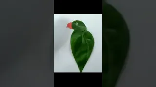 parrot from leaf