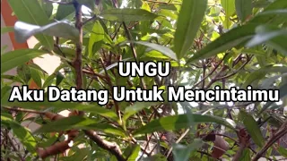 Download Aku Datang Untuk Mencintaimu Ungu (Mix Lirik Lagu) MP3