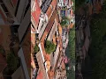 Download Lagu Kollur Mookambika Temple #kolluru #kollurumookambika #udupitemple #shortsvideo  #karnataka #viral