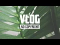 LAKEY INSPIRED - Blossom (Vlog No Copyright Music)