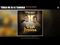 Tebza De DJ & Tanaka - Trust the Process (Official Audio)