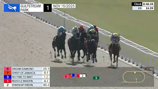 Gulfstream Park November 15 2025 Race 1