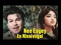 Lagu Nee Enge En Ninaivugal, Mannippu (1969)