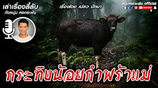 กระทิงน้อยกำพร้าแม่ | เล่าเรื่องลี้ลับกับหนุ่มคงกระพัน