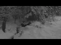Finntroll - Jaktens tid