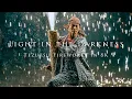 Download Lagu Light in the Darkness- Tezutsu Fireworks in 8K-