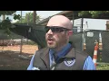 Postal worker shoots woman in Northeast DC suspect in custody