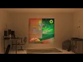 DJ DENZ The Rooster - Jack in the Music Box (Royalty Free Music)