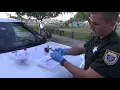 Riding Shotgun With Brevard County Sheriff s Office