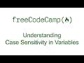 Understanding Case Sensitivity in Variables