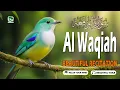 Download Lagu SURAH AL WAQIAH PENENANG HATI \u0026 JIWA, MEMBUKA PINTU REZEKI , AQEL