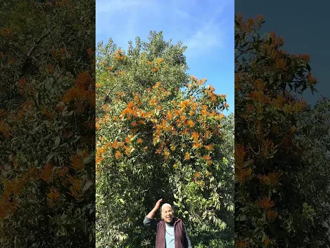 Por Esto y Más Me Gusta la Vida del Rancho