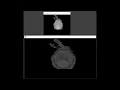Software Renderer