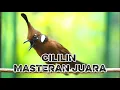MASTERAN CILILIN JERNIH