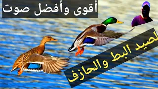 أقوى وأفضل صوت لصيد البط والحازف٢٠٢٢ 