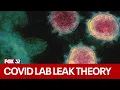 CIA releases new analysis on COVID origins favoring lab leak theory