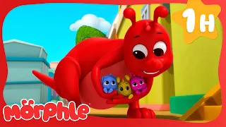 Baby Morphles on the Ledge | Morphle's Magic Universe 🌌 | Adventure Cartoons for Kids