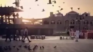 حالات واتس اب قران كريم والسابقون السابقون مقاطع دينية قصيرة مقاطع انستغرام 