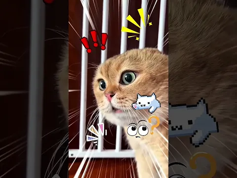 اكتشفوا أنه شخص عادي مش كائن فضائي