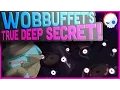 Pokemon Theory The REAL Secret of Wobbuffet Gnoggin
