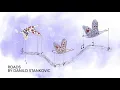 Danilo Stankovic - Roads