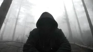 Неделю играем в прятки в лесу
