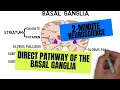2-Minute Neuroscience Direct Pathway of the Basal Ganglia