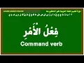 LEARN ARABIC ON LINE LESSON22 COMMAND VERB