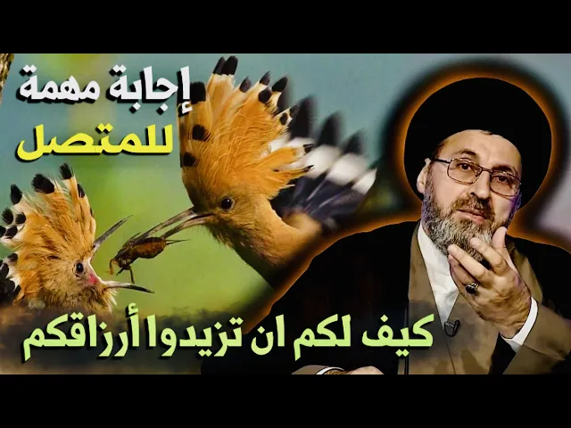 ⁣متصل يشكو حاله: إجابة سماحة السيد الحسيني حول زيادة الرزق، مهم جداً | السيد رشيد الحسيني