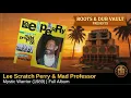 Lee Scratch Perry & Mad Professor — Mystic Warrior (1989) | Full Album | Roots & Dub Vault