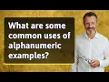 What are some common uses of alphanumeric examples