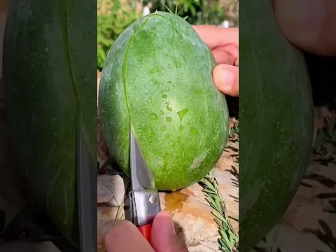 مشوب بدي بطيخه🍉🍉🍉