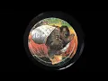 Peter Tosh - Mama Africa [CCP Record Company 1983]