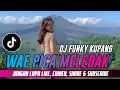 Download Lagu DJ WAE PICA MELEDAK FYP !!! (DHANY HABA) FUNKY KUPANG