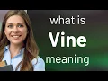 Vine VINE definition