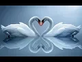 Download Lagu Just for you (Margarita)- Richard Cocciante (with lyrics)