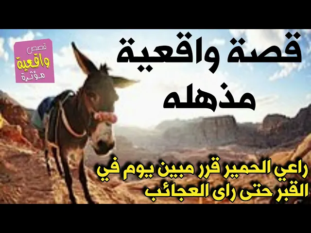 ⁣قصة راعي الحمير الذي قرر المبيت في القبر يوم حتى راى العجائب داخل القبر !