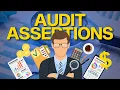 Demystifying Audit Assertions A Simple Guide
