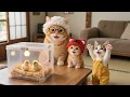 Download Lagu Catatan Harian Kucing Saat Menetaskan Telur🐣 | Anak Kucing Ingin Menetaskan Anak Ayam, Jadi Nenek...